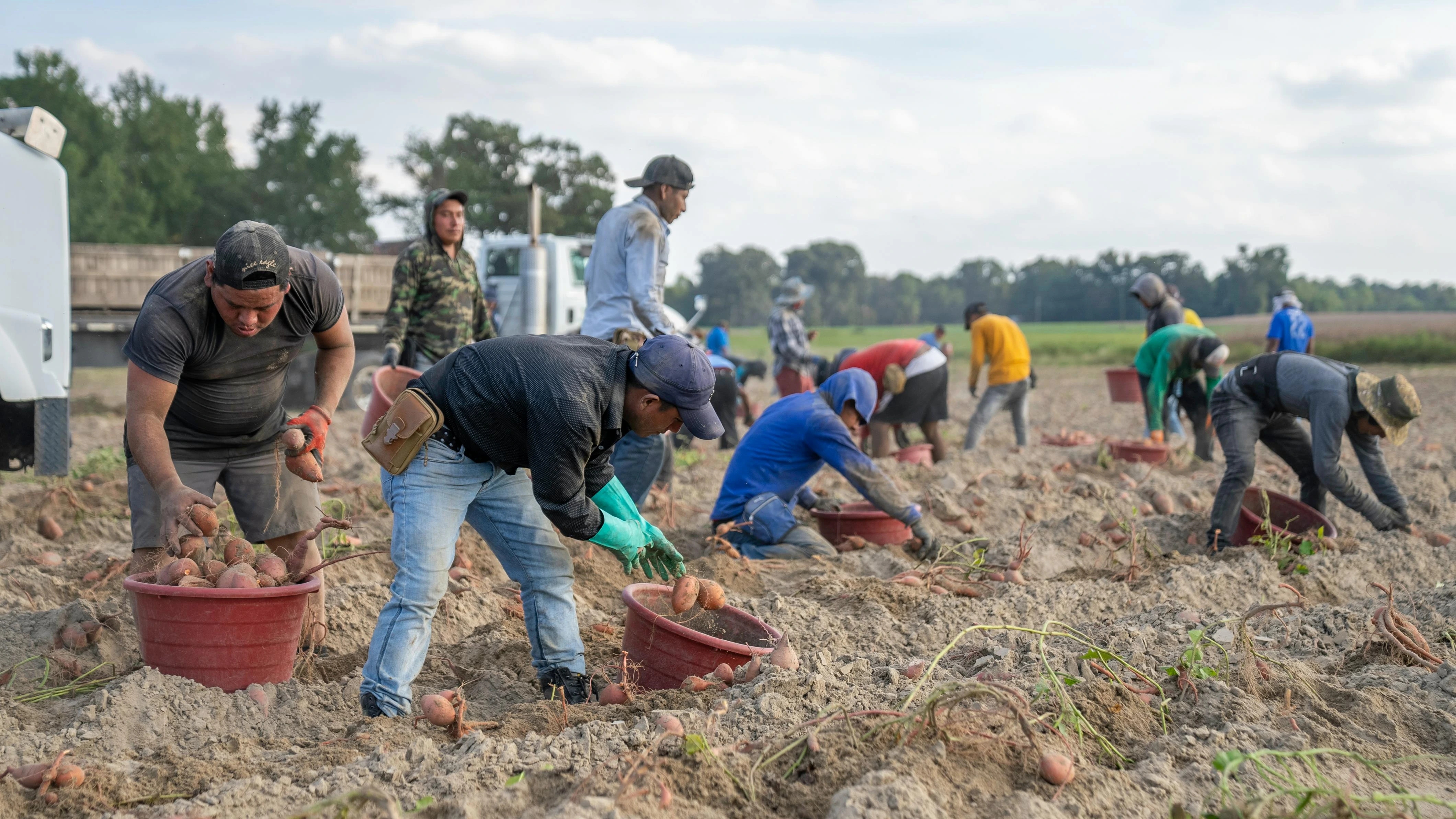 Equipo de trabajo agrícola